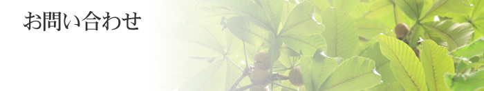 お問い合わせ