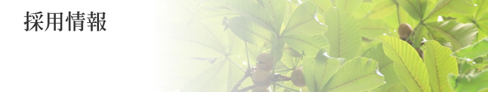 採用情報